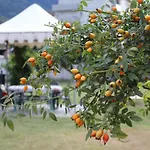 Appartamento Quattro - Cir 0008
